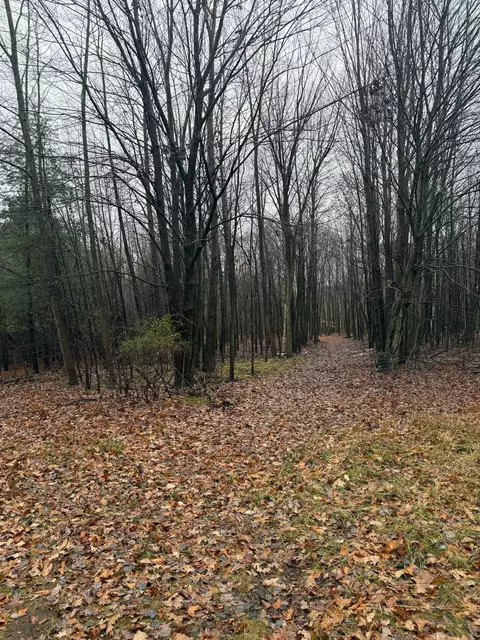 V/l S Sasse, Hemlock, MI 48626 photo 6