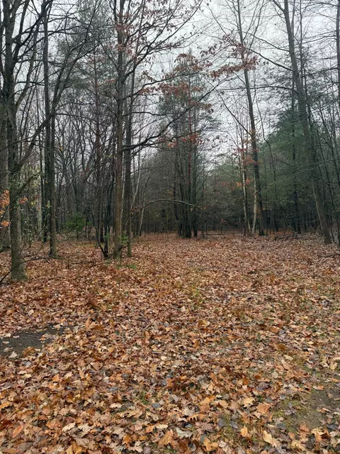 V/l S Sasse, Hemlock, MI 48626 photo 7