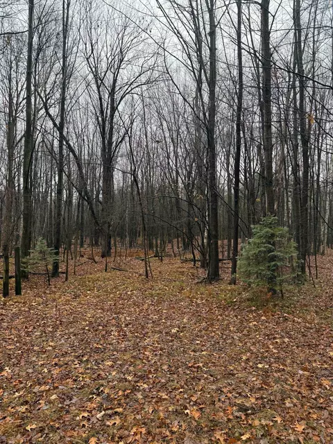V/l S Sasse, Hemlock, MI 48626 photo 5