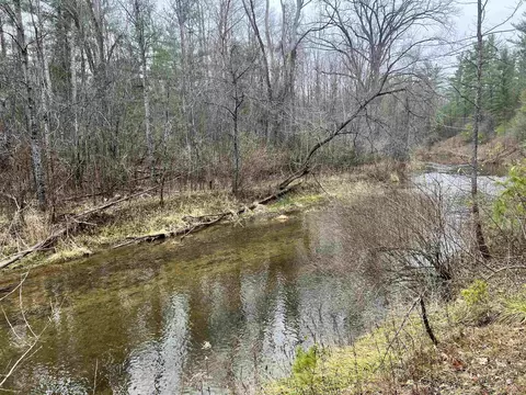 10 N 4 Acres N M-30, Gladwin, MI 48624