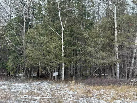 53 A Tbd I, Escanaba, MI 49829 photo 3