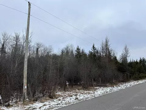 53 A Tbd I, Escanaba, MI 49829 photo 11
