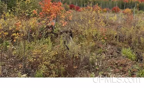 80 Acres Off Stack Grade, Skandia, MI 49885
