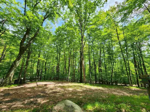 2490 Spruce Hl, Farwell, MI 48622