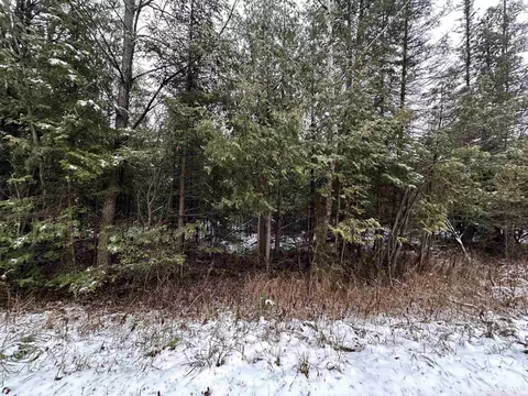 8 5 A Tbd Kell, Wilson, MI 49896 photo 9