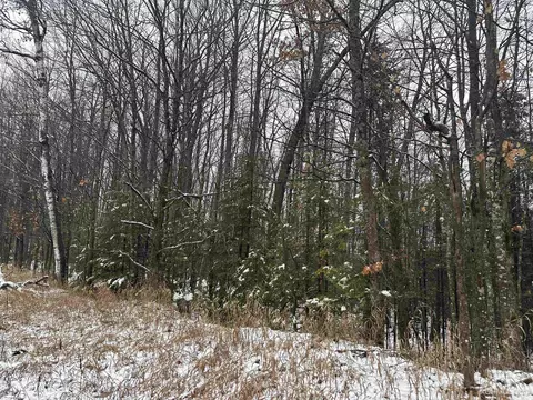 8 5 A Tbd Kell, Wilson, MI 49896 photo 4