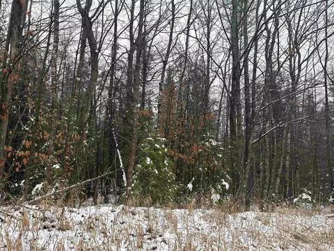 8 5 A Tbd Kell, Wilson, MI 49896 photo 5