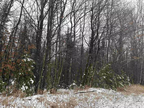 8 5 A Tbd Kell, Wilson, MI 49896 photo 6
