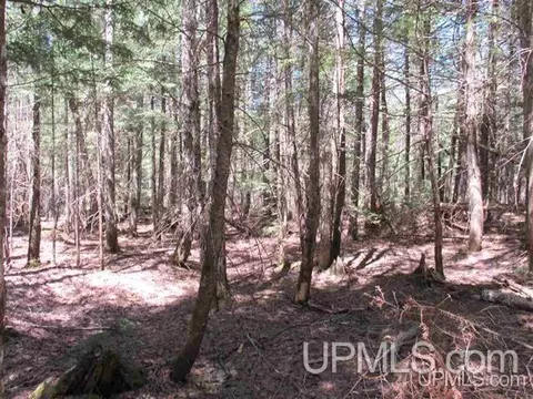 tbd Off Klingville, Chassell, MI 49916