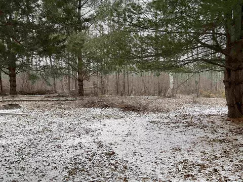 0 N Hockaday, Gladwin, MI 48624