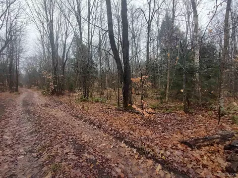 7 Acres Beechwood, Newberry, MI 49868