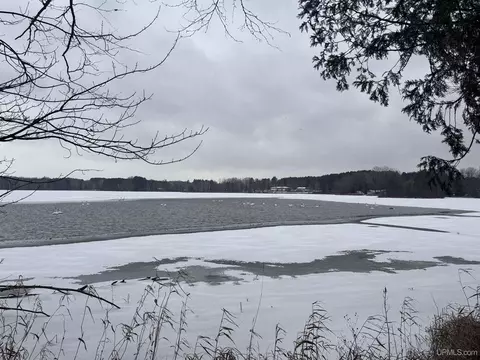 View/Area - N7533 County G, Gresham, WI 54128 photo 5 of 11