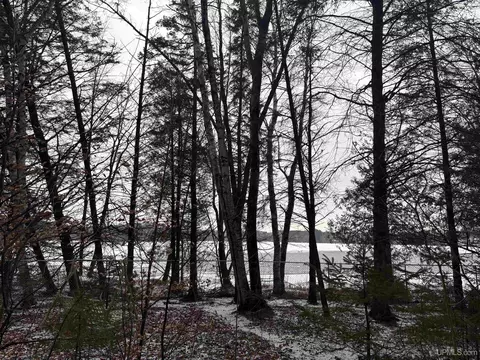 View/Area - N7533 County G, Gresham, WI 54128 photo 2 of 11