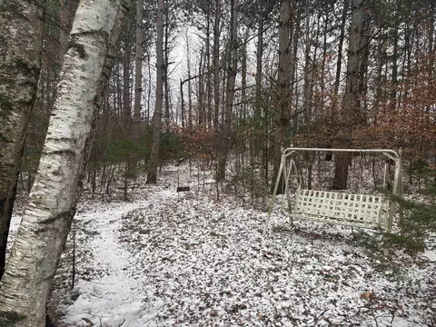 Exterior - N7533 County G, Gresham, WI 54128 photo 8 of 16