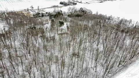 View/Area - 4270 S Waldron, Hudson, MI 49247 photo 5 of 5