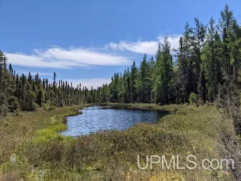 lot43 E C E Fence Lk, Michigamme, MI 49861