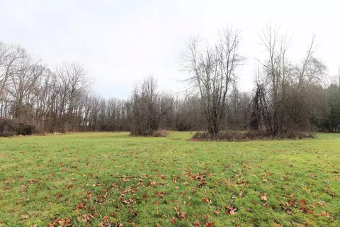 Springborrow, Flint, MI 48532 photo 7