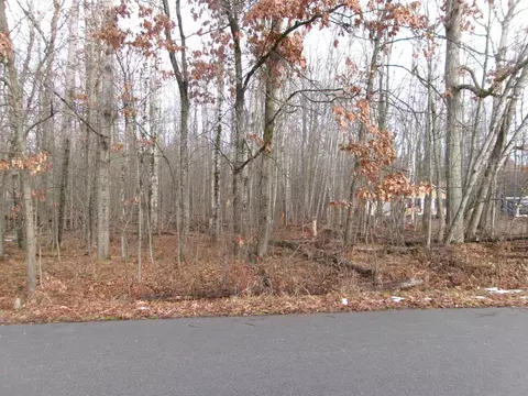 Nhn Shadowbrook, Lake, MI 48632