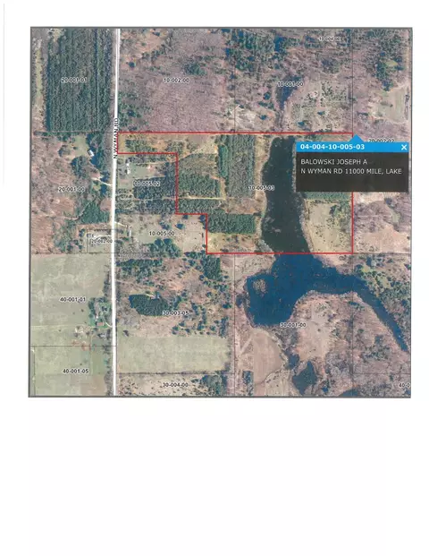 tbd N Wyman, Lake, MI 48632
