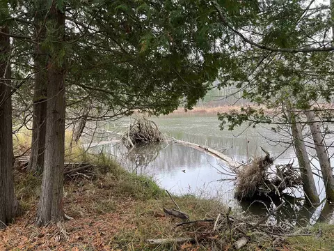 Long Rapids, Alpena, MI 49707