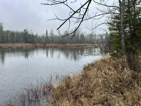 Long Rapids, Alpena, MI 49707 photo 6