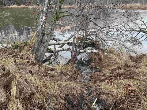 Long Rapids, Alpena, MI 49707 photo 30