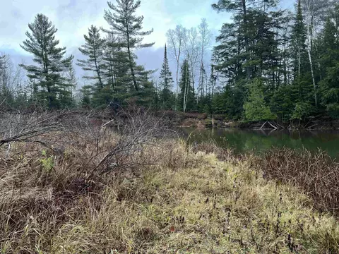 Long Rapids, Alpena, MI 49707 photo 37