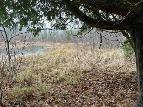 Long Rapids, Alpena, MI 49707 photo 4