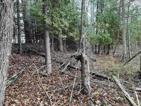 Long Rapids, Alpena, MI 49707 photo 40