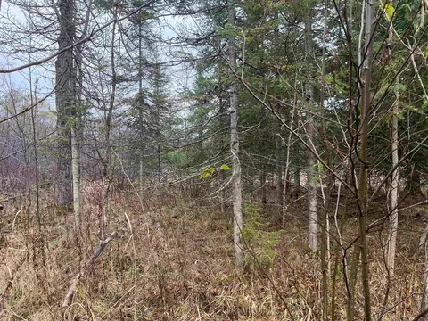 Long Rapids, Alpena, MI 49707 photo 17