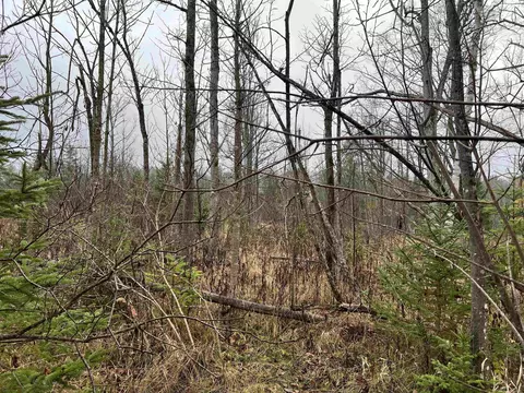 Long Rapids, Alpena, MI 49707 photo 18