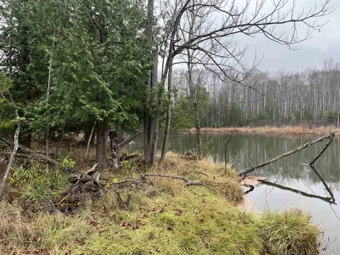 Long Rapids, Alpena, MI 49707 photo 2