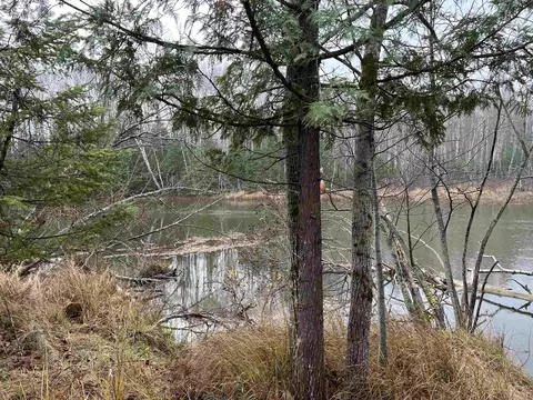Long Rapids, Alpena, MI 49707 photo 29