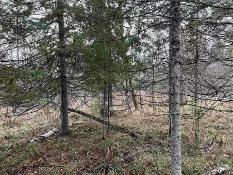 Long Rapids, Alpena, MI 49707 photo 13