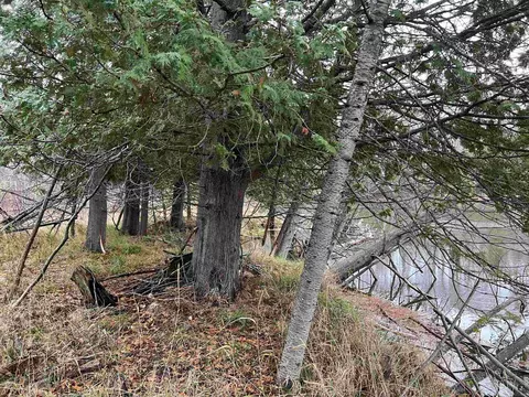 Long Rapids, Alpena, MI 49707 photo 27