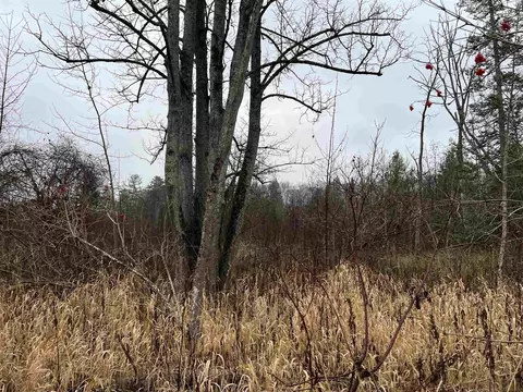 Long Rapids, Alpena, MI 49707 photo 19