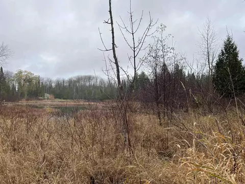 Long Rapids, Alpena, MI 49707 photo 20