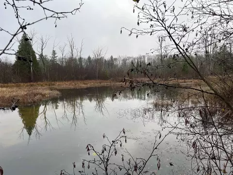 Long Rapids, Alpena, MI 49707 photo 3