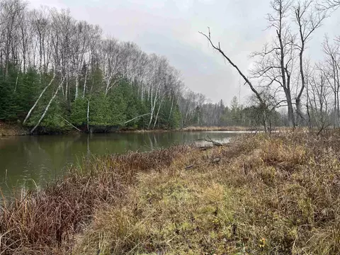 Long Rapids, Alpena, MI 49707 photo 38