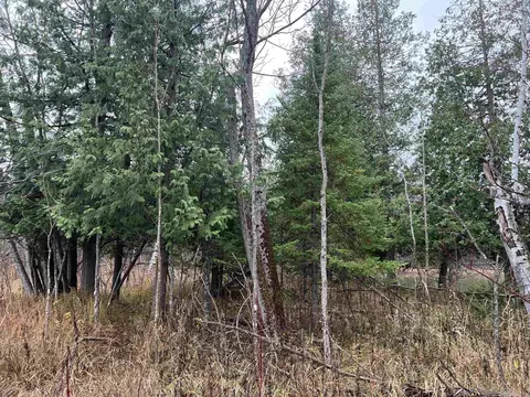 Long Rapids, Alpena, MI 49707 photo 25