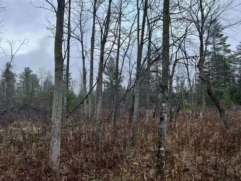 Long Rapids, Alpena, MI 49707 photo 35