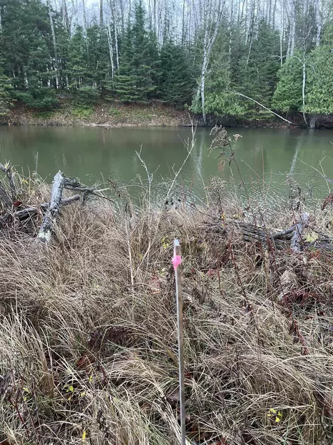 Long Rapids, Alpena, MI 49707 photo 36
