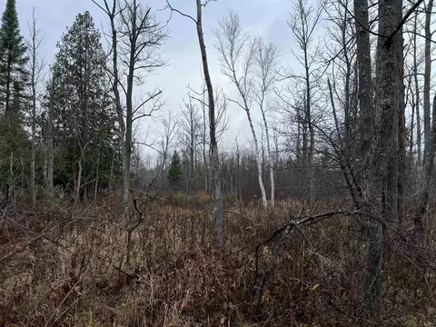 Long Rapids, Alpena, MI 49707 photo 34