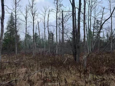 Long Rapids, Alpena, MI 49707 photo 33