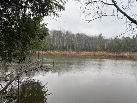 Long Rapids, Alpena, MI 49707 photo 5