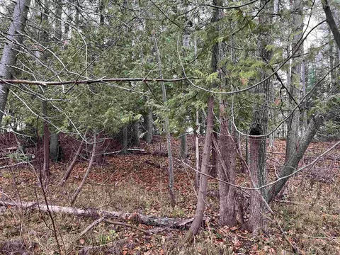 Long Rapids, Alpena, MI 49707 photo 10