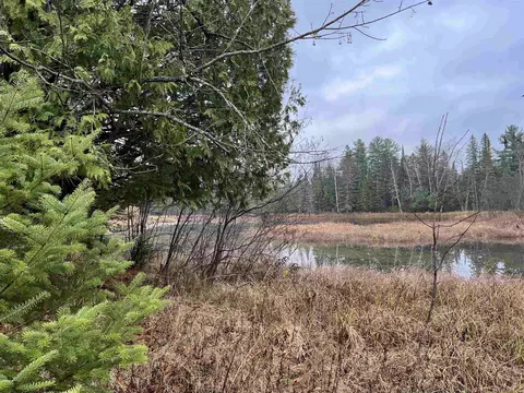 Long Rapids, Alpena, MI 49707 photo 16