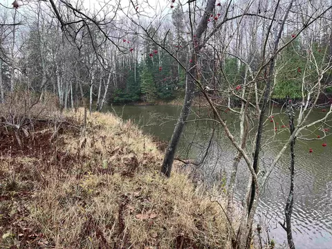 Long Rapids, Alpena, MI 49707 photo 31