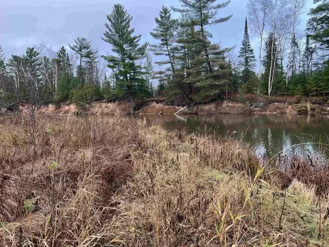 Long Rapids, Alpena, MI 49707 photo 39