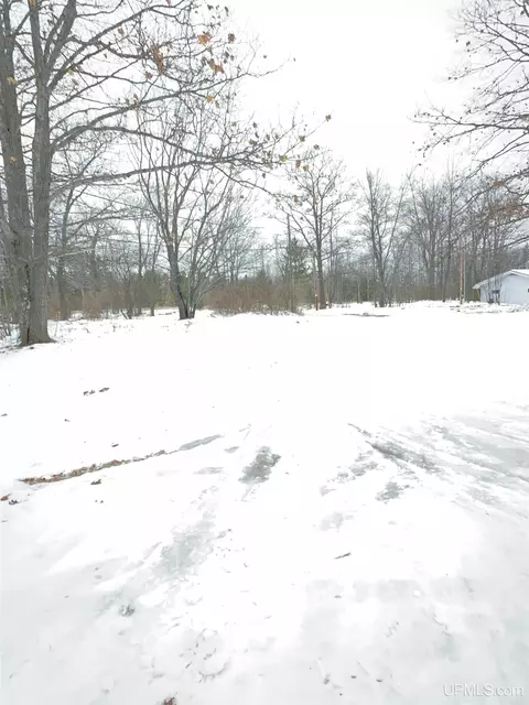 Exterior - 1695 E M35, Little Lake, MI 49833 photo 12 of 13